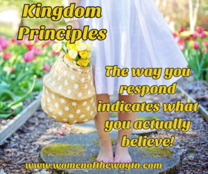 kingdomprinciples